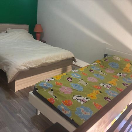 Appartement Duplex T1 Albertville Εξωτερικό φωτογραφία