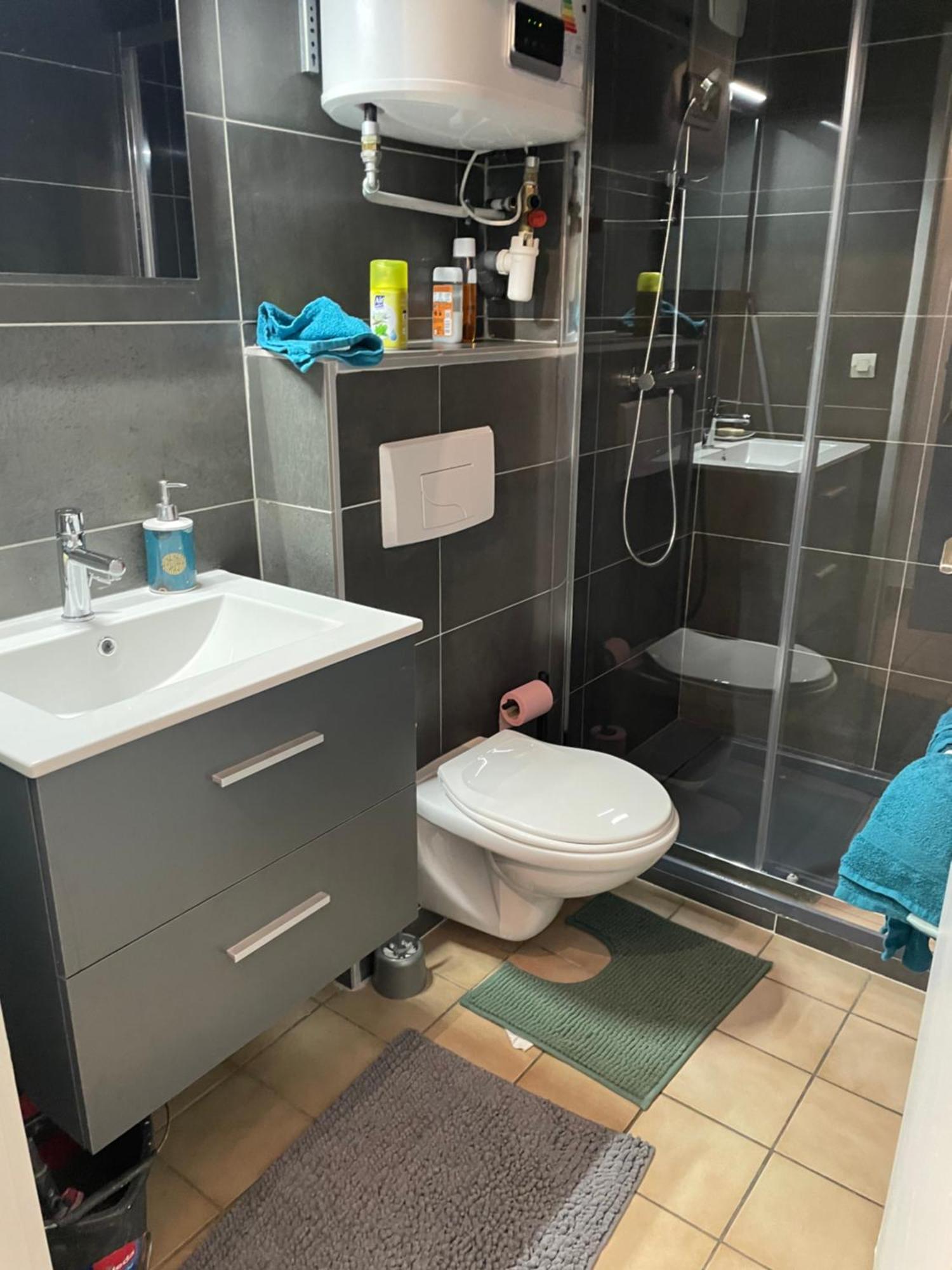 Appartement Duplex T1 Albertville Εξωτερικό φωτογραφία