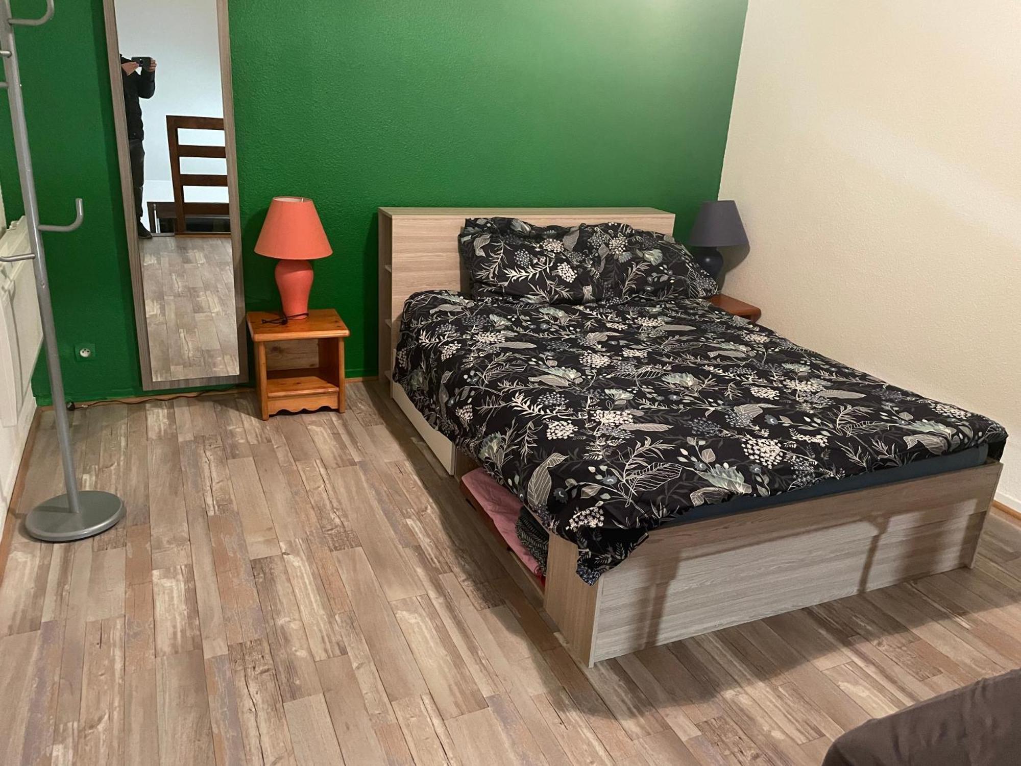 Appartement Duplex T1 Albertville Εξωτερικό φωτογραφία