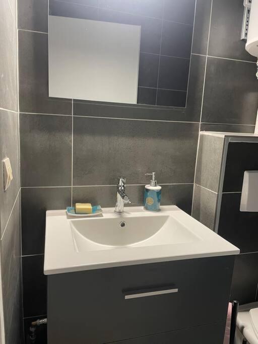 Appartement Duplex T1 Albertville Εξωτερικό φωτογραφία