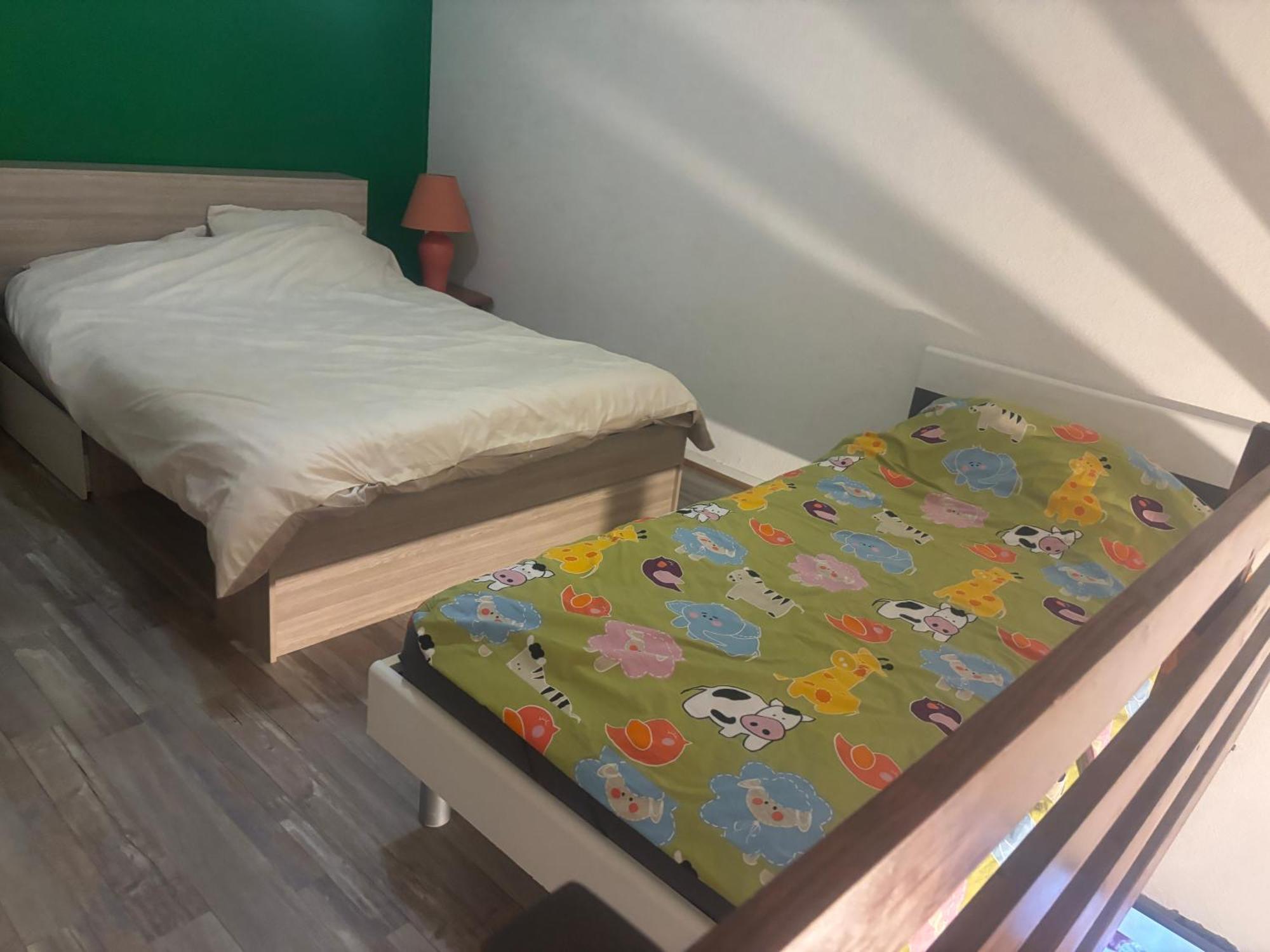 Appartement Duplex T1 Albertville Εξωτερικό φωτογραφία